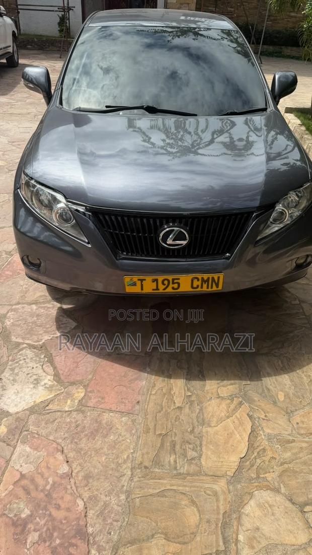 Lexus RX 2010 Gray