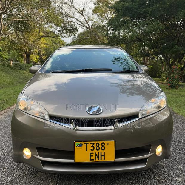 Toyota Wish 2010 Gray