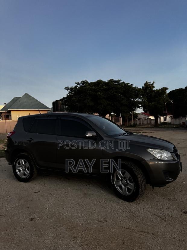 Toyota RAV4 2010 Brown