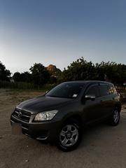 Toyota RAV4 2010 Brown for sale