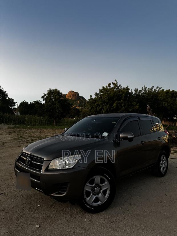 Toyota RAV4 2010 Brown