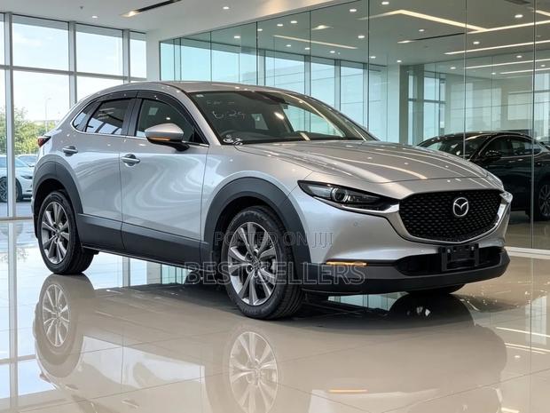 Mazda CX-30 2019 Silver