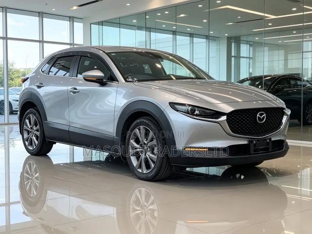 Mazda CX-30 2019 Silver