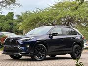 Toyota RAV4 Hybrid 2025 Blue for sale