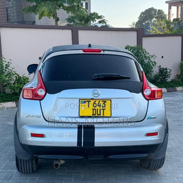 Nissan Juke 2011 Silver
