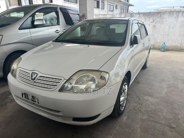 Toyota Allex 2005 White