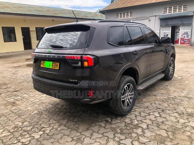 Ford Everest 2023 Gray