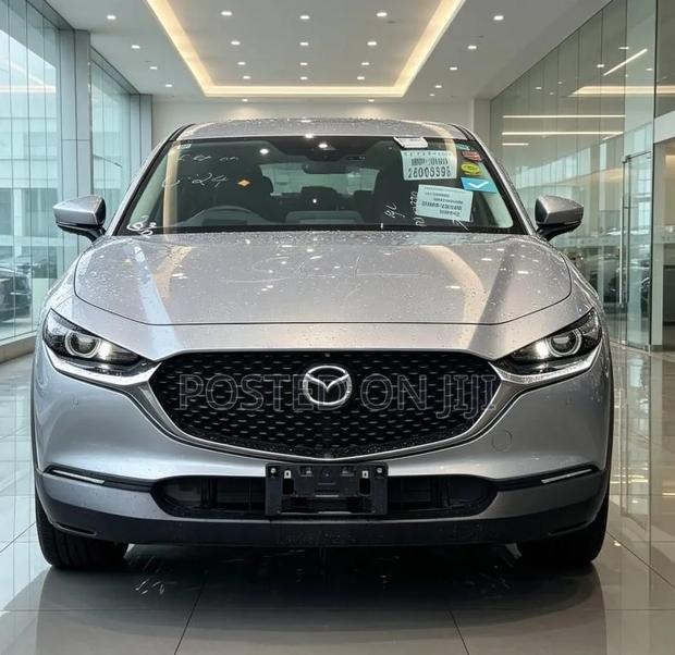 Mazda CX-30 2019 Gray