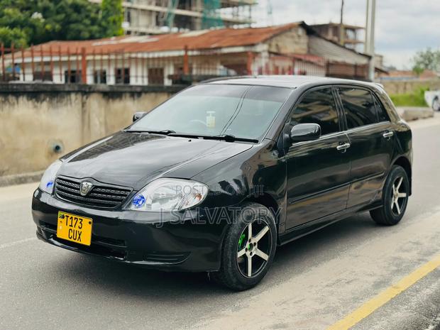Toyota Allex 2002 Black