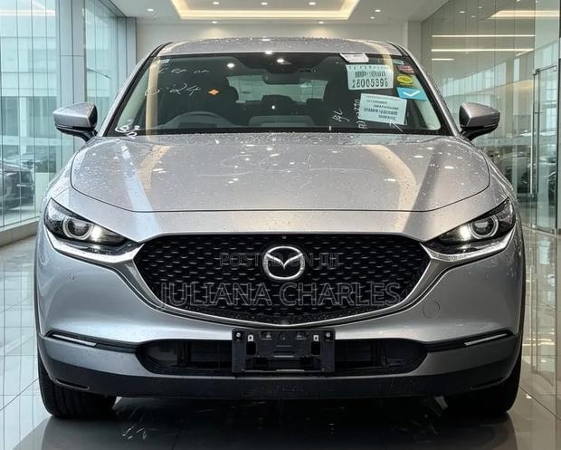 Mazda CX-3 2017 Silver