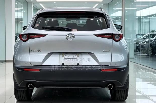 Mazda CX-3 2017 Silver