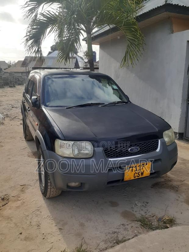 Ford Escape 2006 Gray