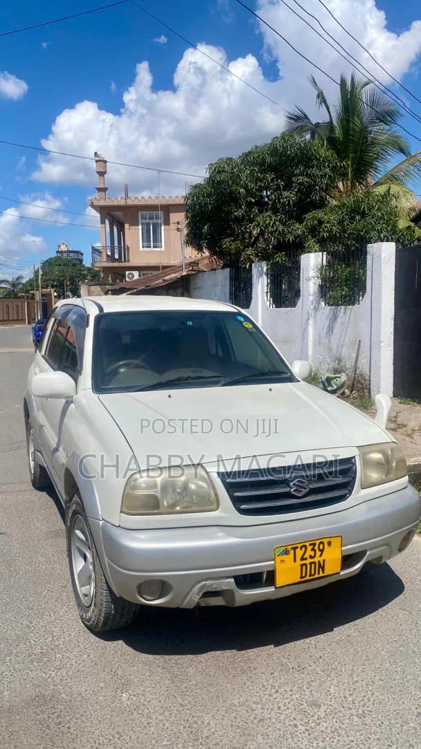 Suzuki Escudo 2003 Pearl