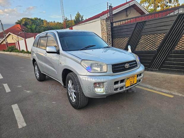 Toyota RAV4 2004 Silver
