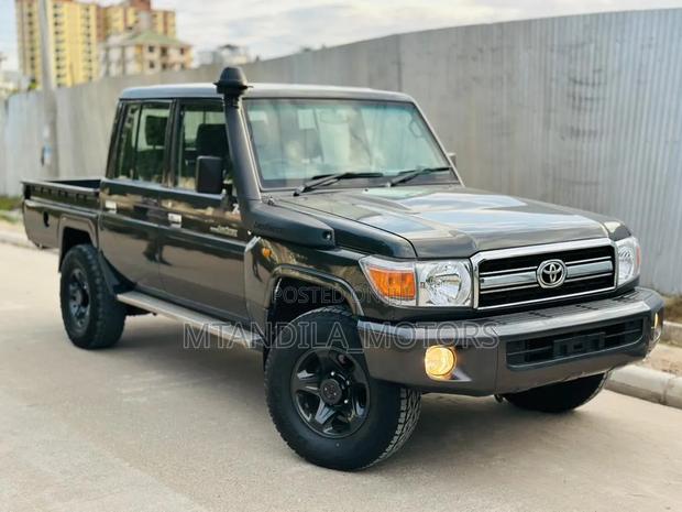 Toyota Land Cruiser 2010 Gray