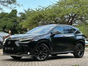 Lexus NX 2022 Black for sale