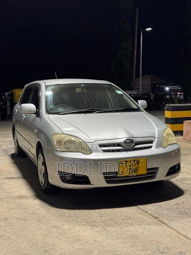 Toyota Allex 2005 Silver