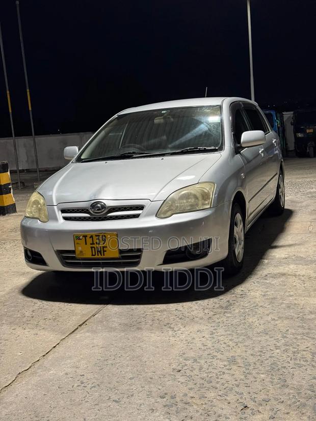 Toyota Allex 2005 Silver