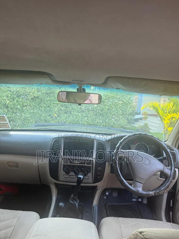 Toyota Land Cruiser 2006 Gray