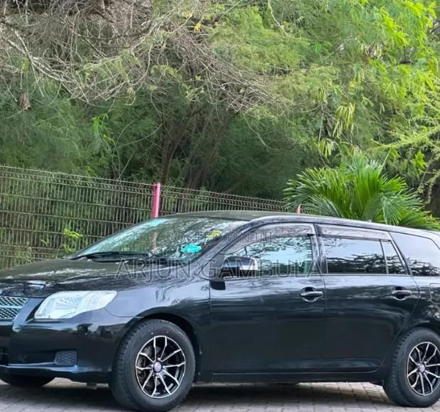 Toyota Corolla Fielder 2008 Black