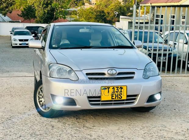 Toyota Corolla RunX 2006 Silver