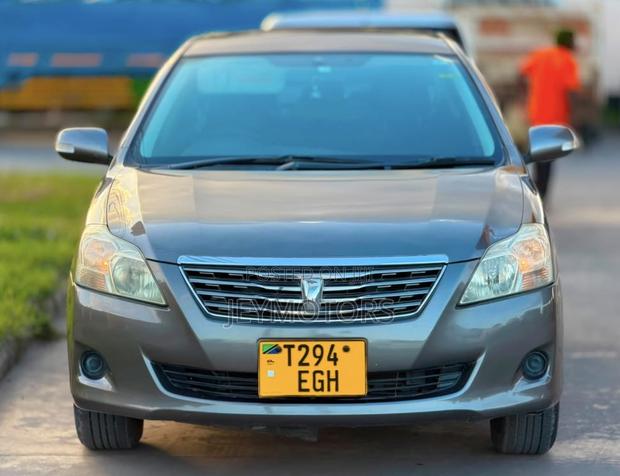 Toyota Premio 2009 Gray
