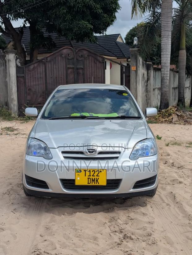 Toyota Corolla RunX 2006 Silver