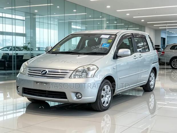 Toyota Raum 2010 Silver