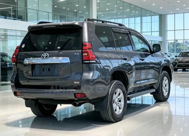 Toyota Land Cruiser Prado 2019 Gray