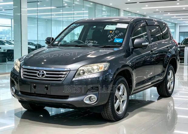 Toyota Vanguard 2009 Gray