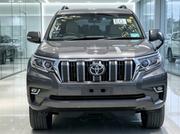 Toyota Land Cruiser Prado 2019 Gray for sale