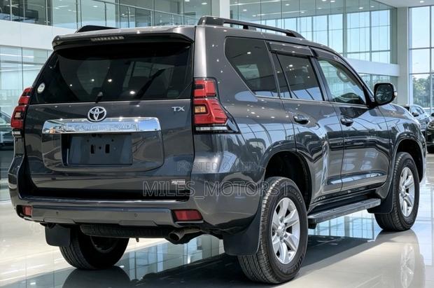 Toyota Land Cruiser Prado 2019 Gray