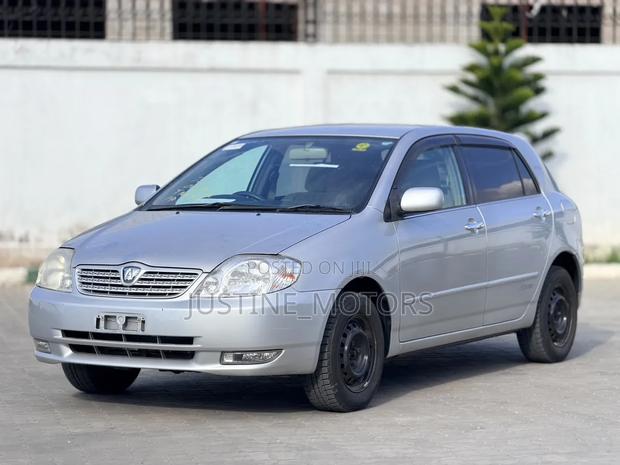 Toyota Allex 2004 Silver