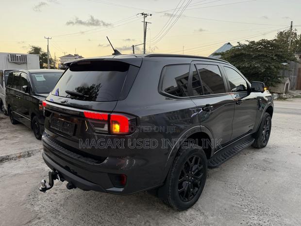 Ford Everest 2024 Gray
