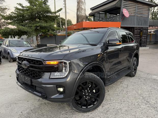 Ford Everest 2024 Gray