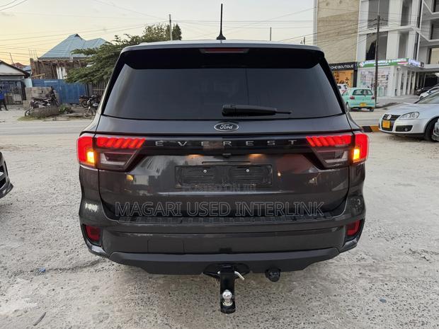 Ford Everest 2024 Gray