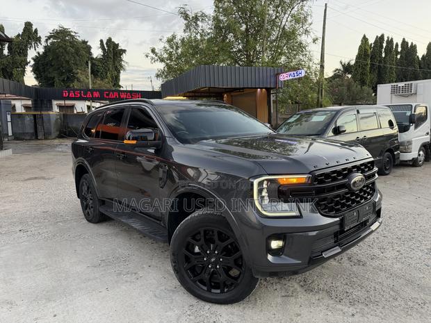 Ford Everest 2024 Gray