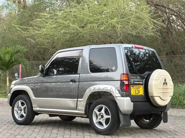 Mitsubishi Pajero 2007 Gray