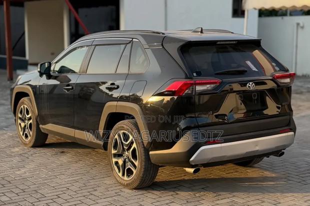 Toyota RAV4 2019 Brown