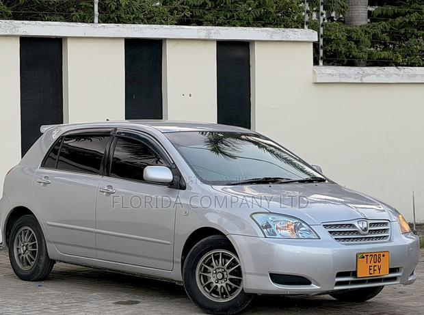 Toyota Allex 2005 Silver