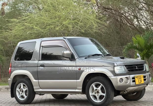 Mitsubishi Pajero 2004 Gray