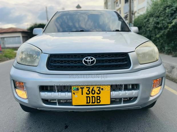 Toyota RAV4 2004 Silver