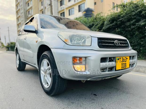 Toyota RAV4 2004 Silver