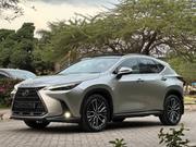 Lexus NX 2022 Silver for sale