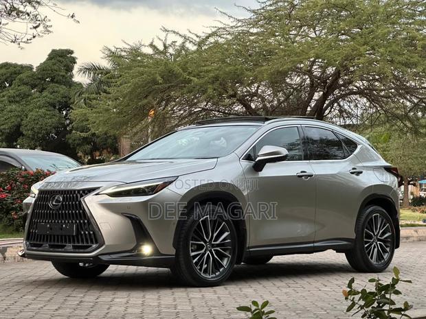 Lexus NX 2022 Silver