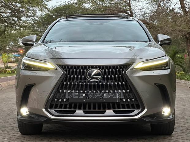 Lexus NX 2022 Silver