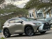 Lexus NX 2022 Silver for sale