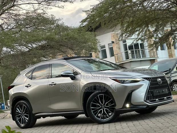 Lexus NX 2022 Silver