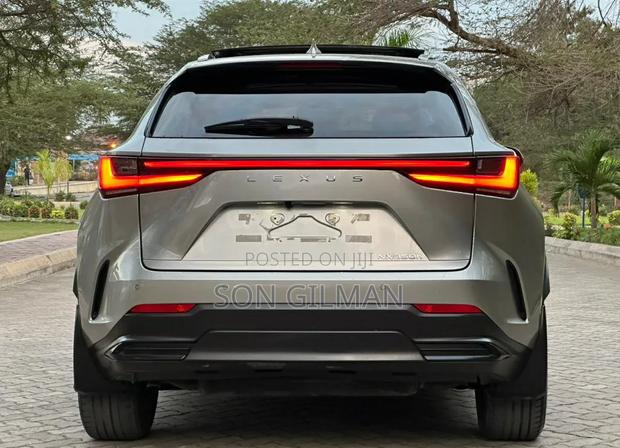 Lexus NX 2022 Silver