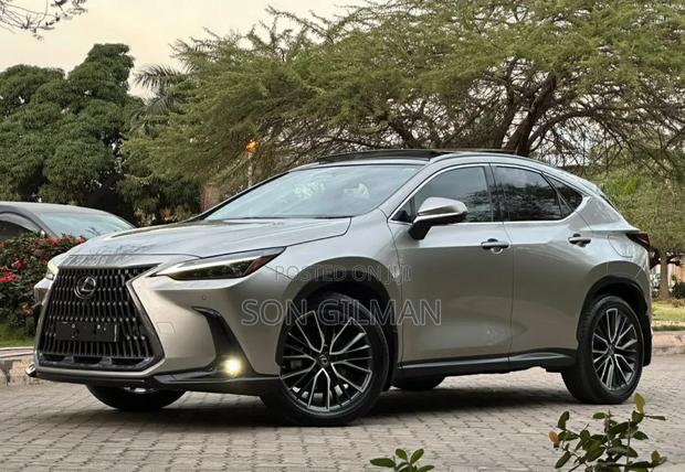 Lexus NX 2022 Silver